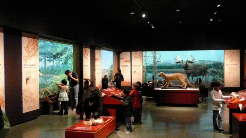 4478442635_19ed698f41_b_d