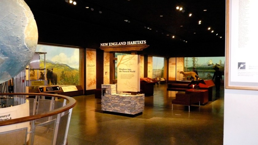 4478443109_9b01f57cea_b_d